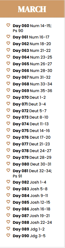 MONTH 3: MARCH 1-31 (Days 60-90)
bookmark