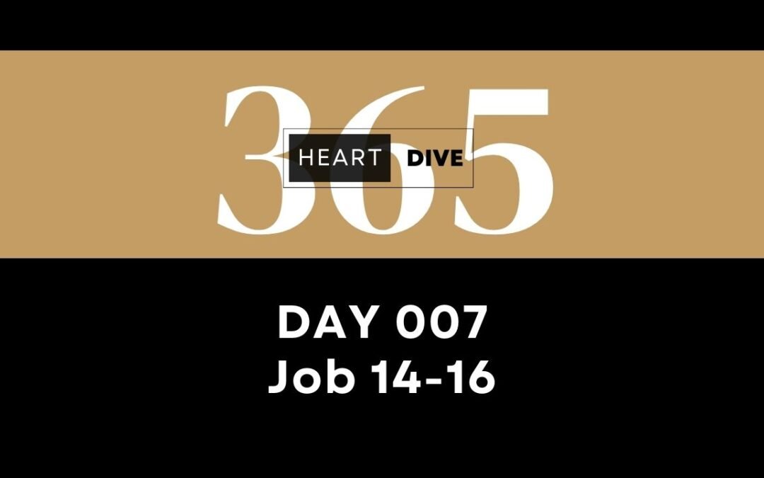 day-007-job-14-16-2024-Youtube-Thumbnails-1280-x-720-_-Heart-Dive-365-Daily-Readings
