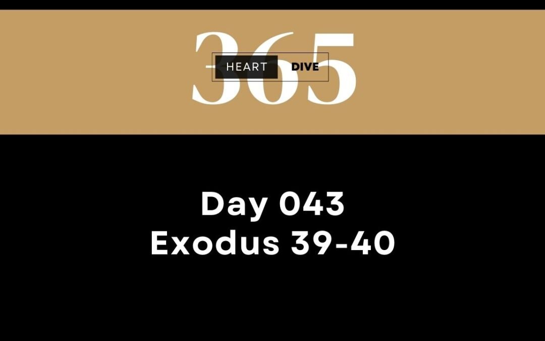 Day 043 Exodus 39-40 | Daily One Year Bible Study | Audio Bible Reading with commentary