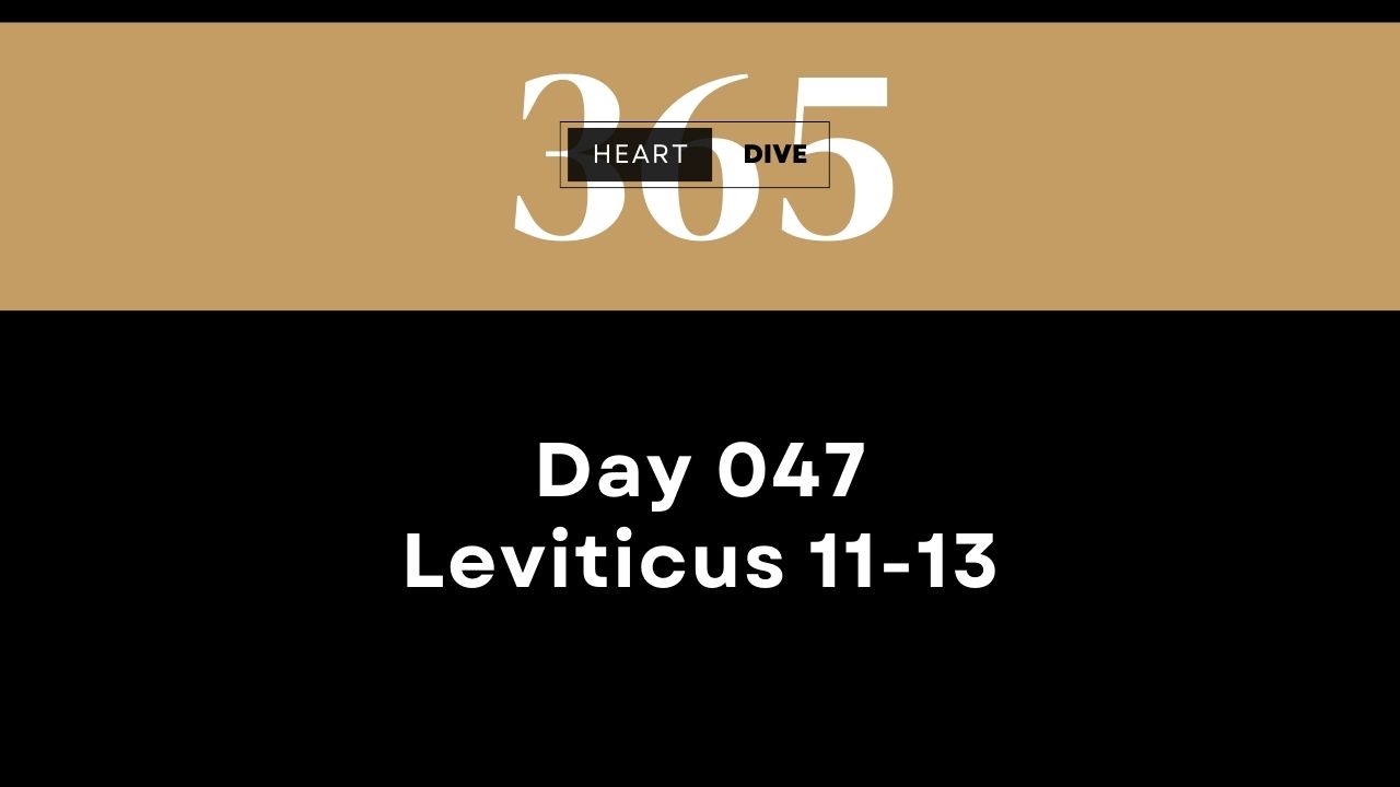 Podcast heartdive