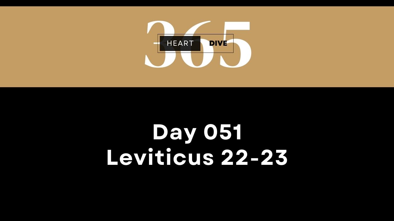 2024 heartdive