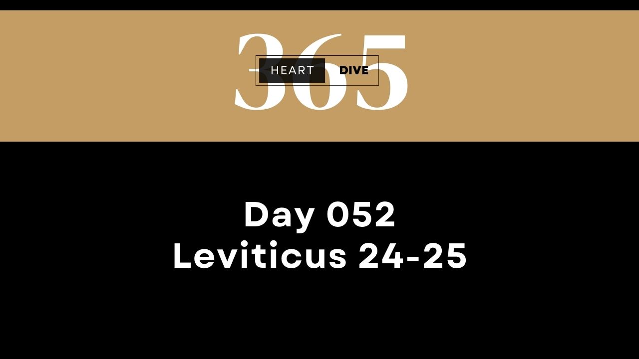 2024 heartdive