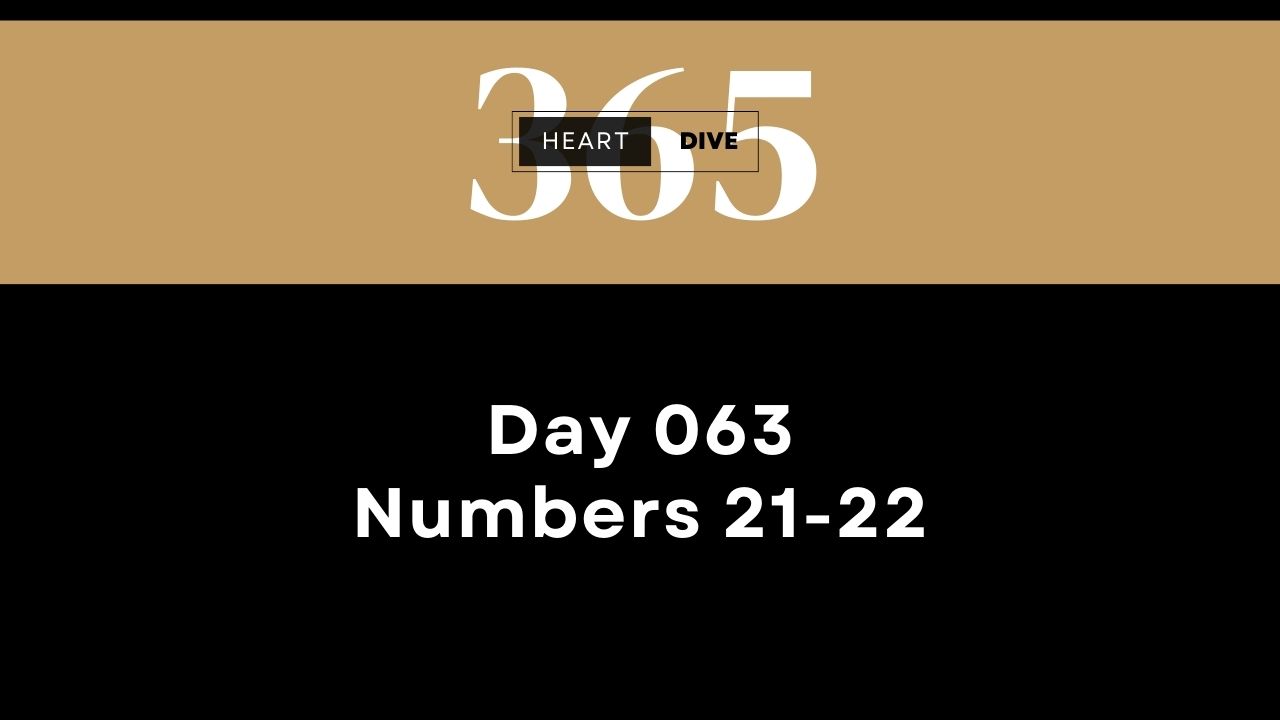 2024 heartdive