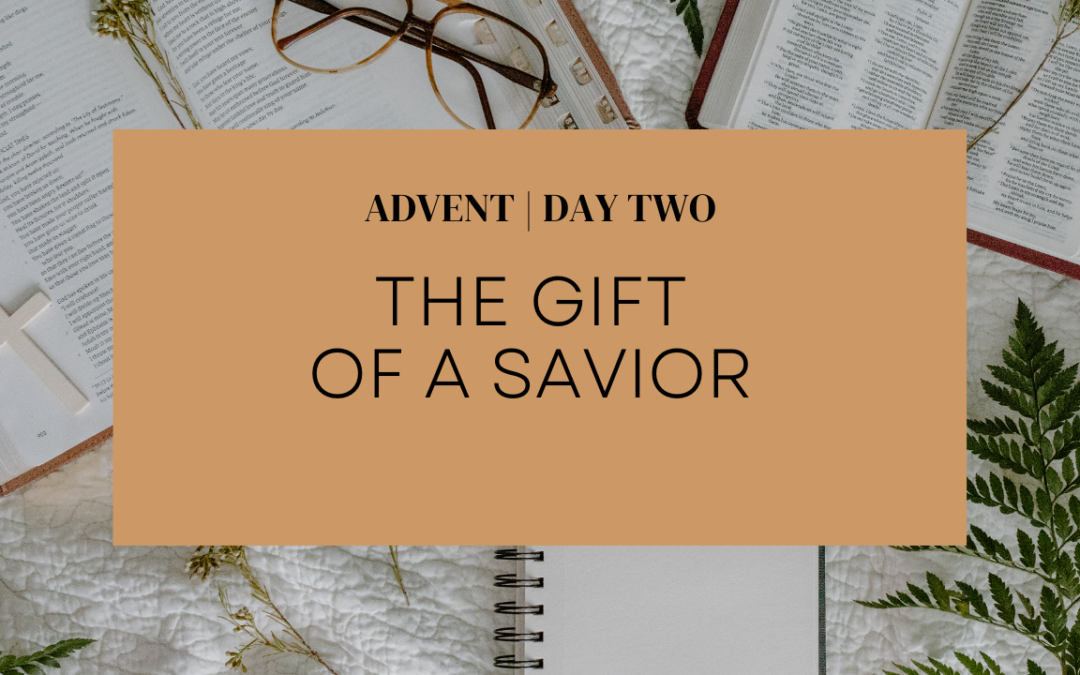 ADVENT: Day Two | The Gift of a Savior