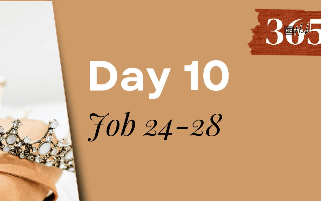 Day 010 Job 24-28