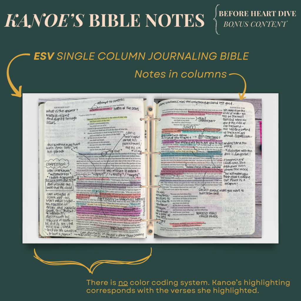 heart dive 365 _ bonus content before heart dive notes and hues youtube