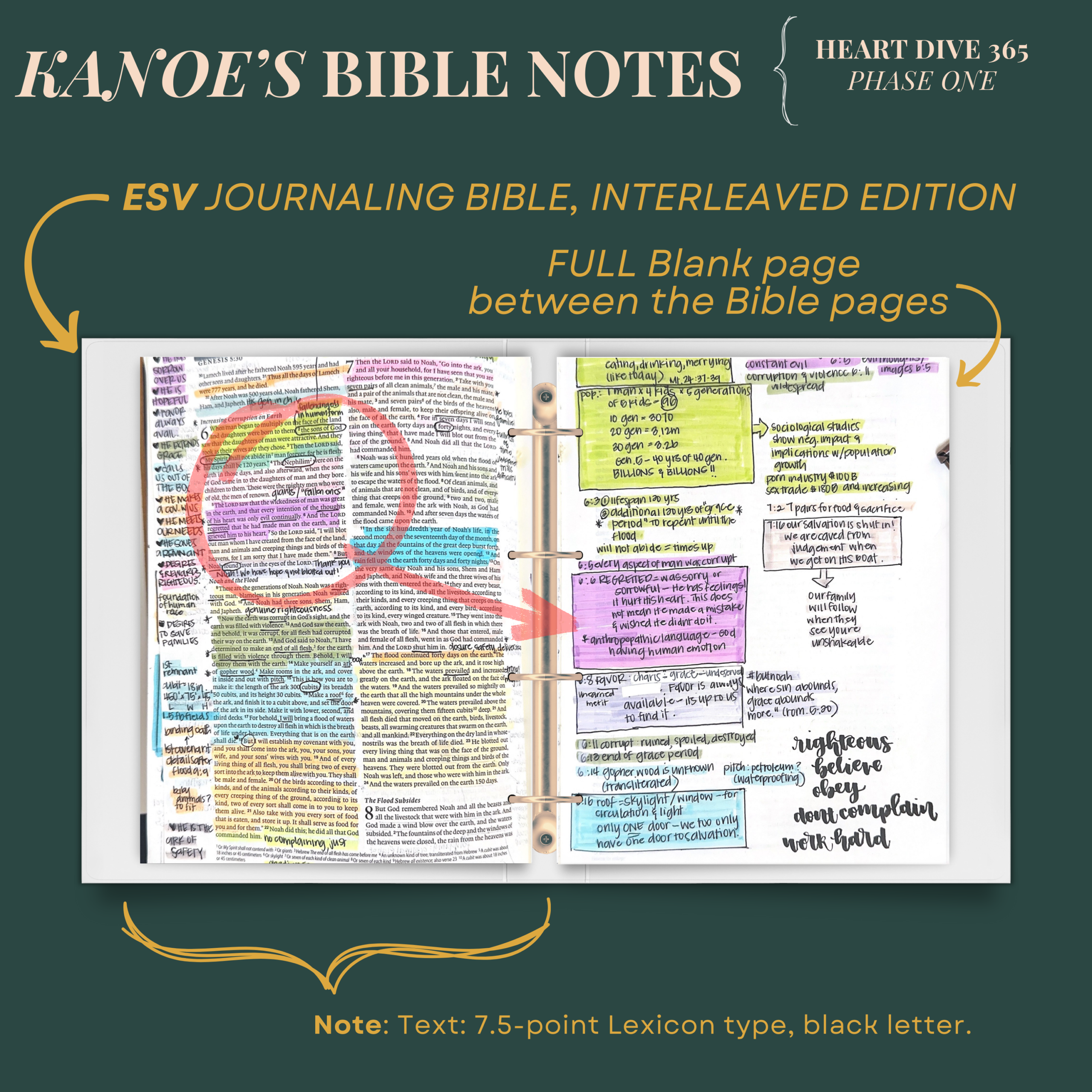 Heart Dive 365 _ heart check pdfs for phase one _ the year of heart checks with Kanoe gibson
