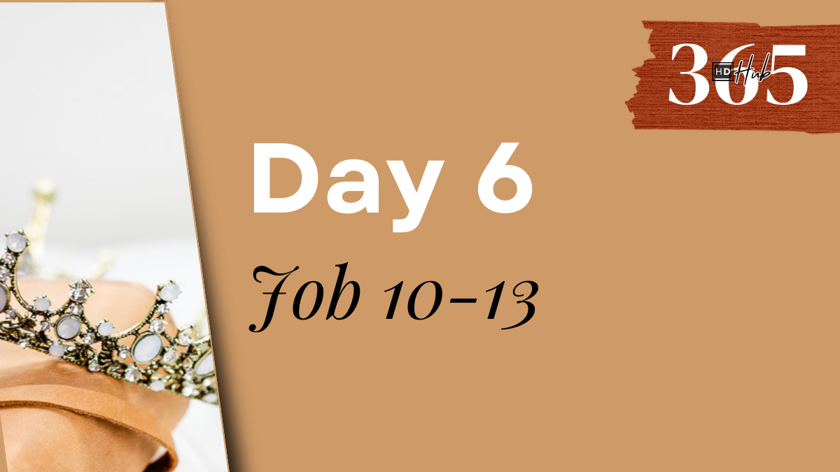 Day 006 Job 10-13 HD365 Hub Daily readings full Bible _ Day (5)