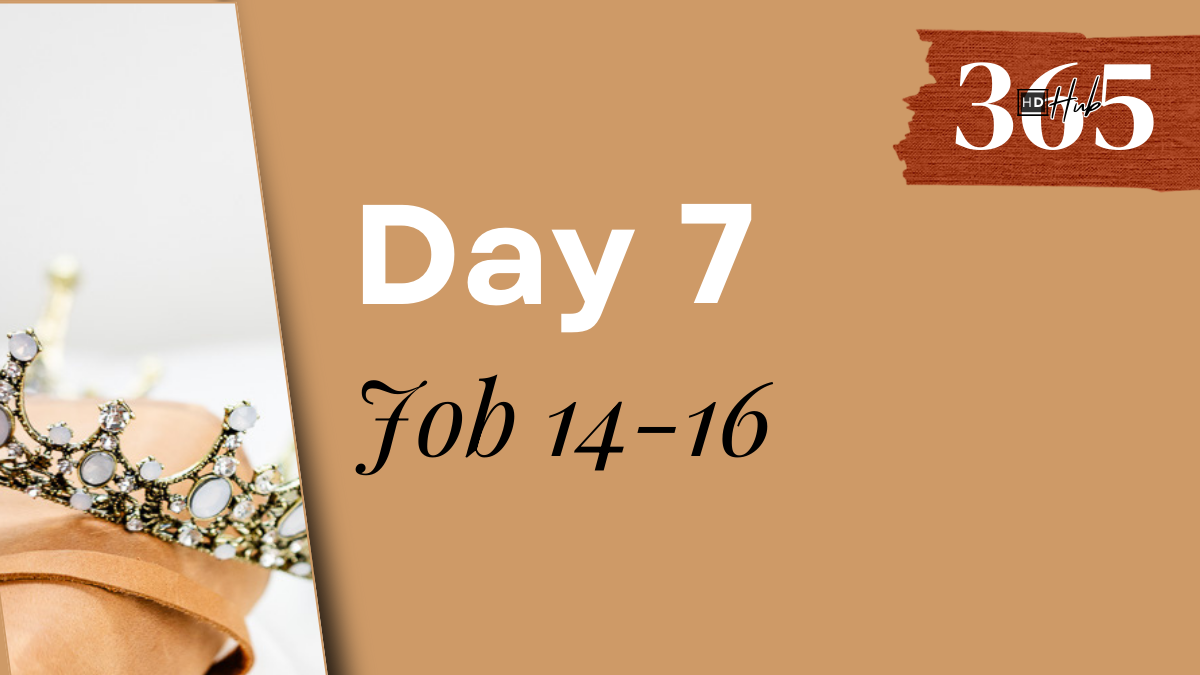 Day 007 Job 14-16 HD365 Hub Daily readings full Bible _ Day (5)