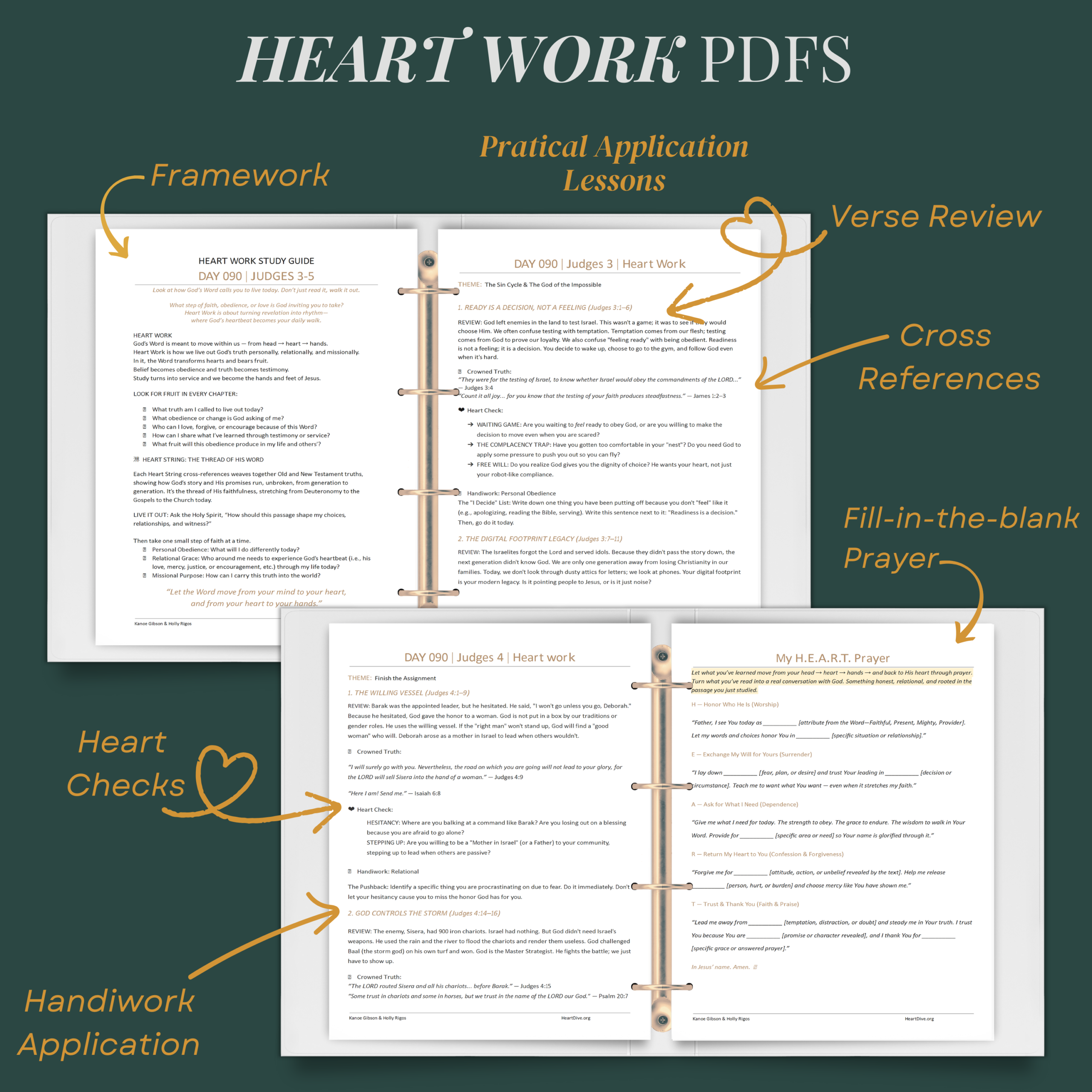 heart dive 365 _ heart work phase three heart dive read the bible in one year