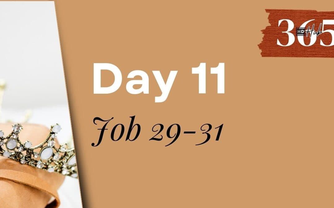 Day 011 Job 29-31