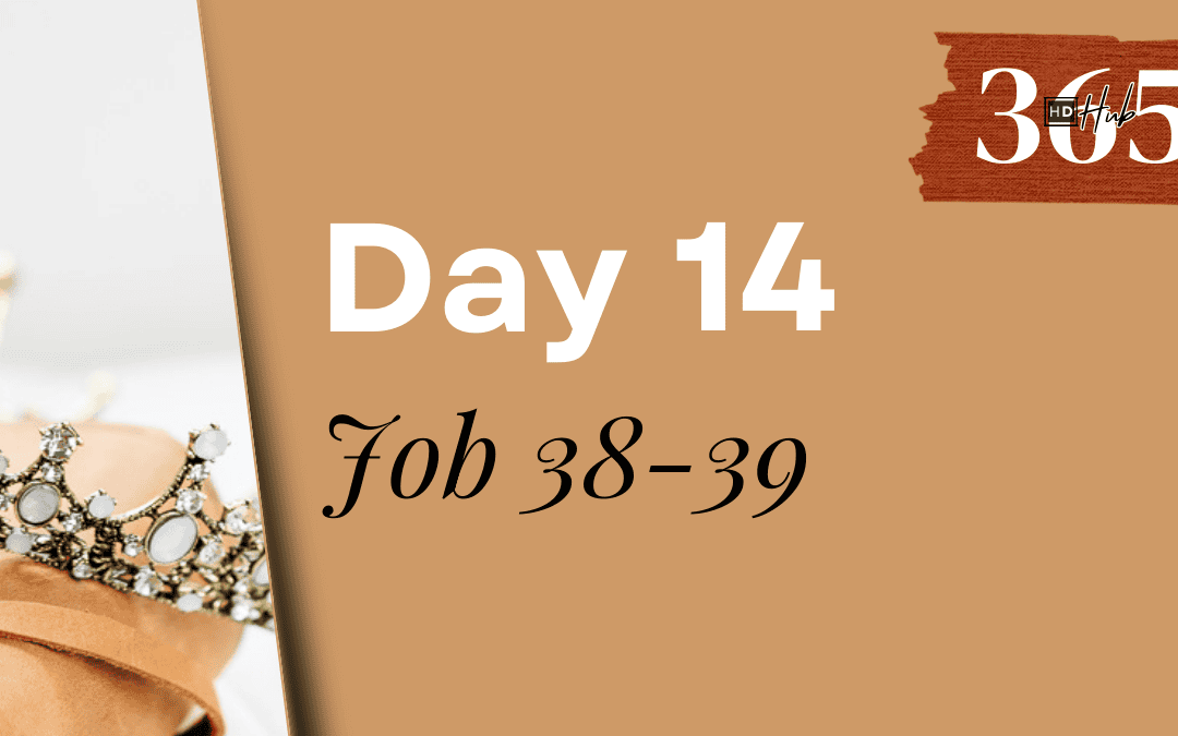 Day 014 Job 38-39