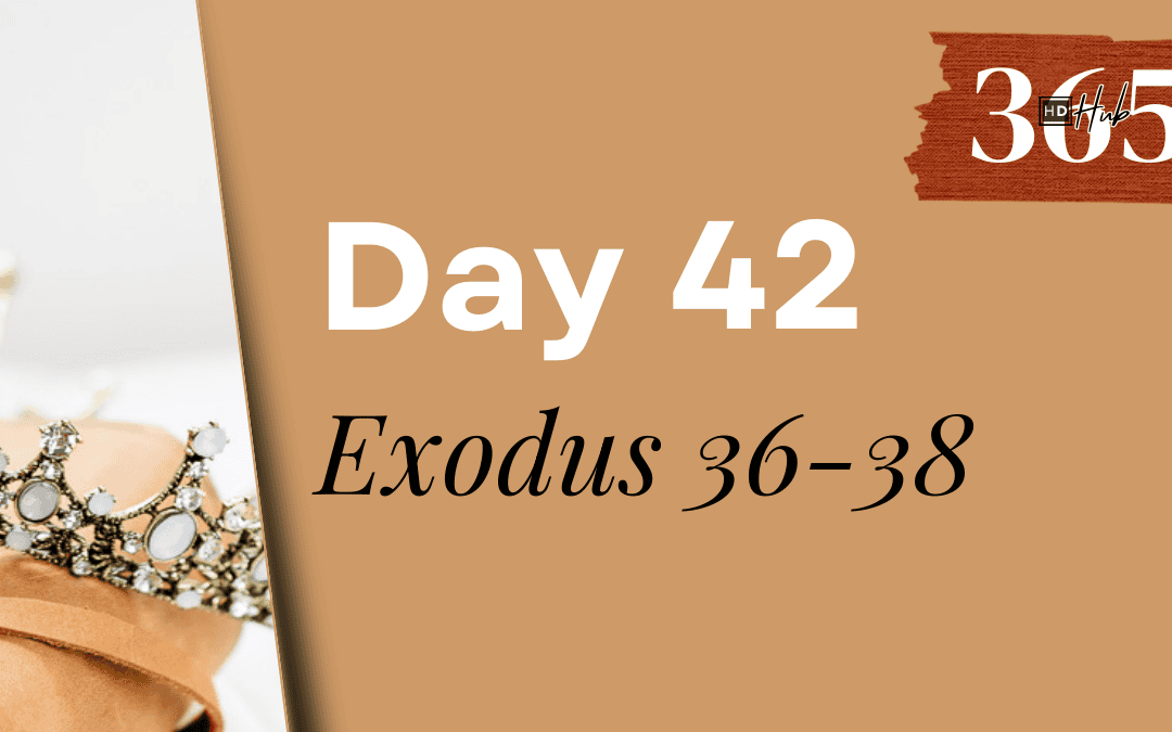 Day 042 Exodus 36-38