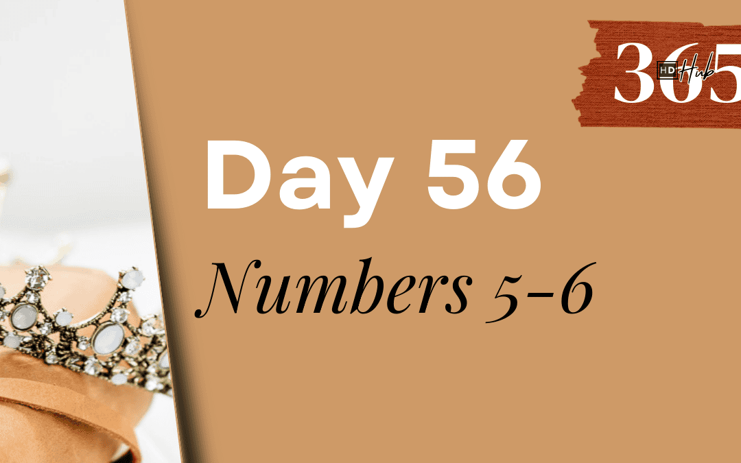 Day 056 Numbers 5-6