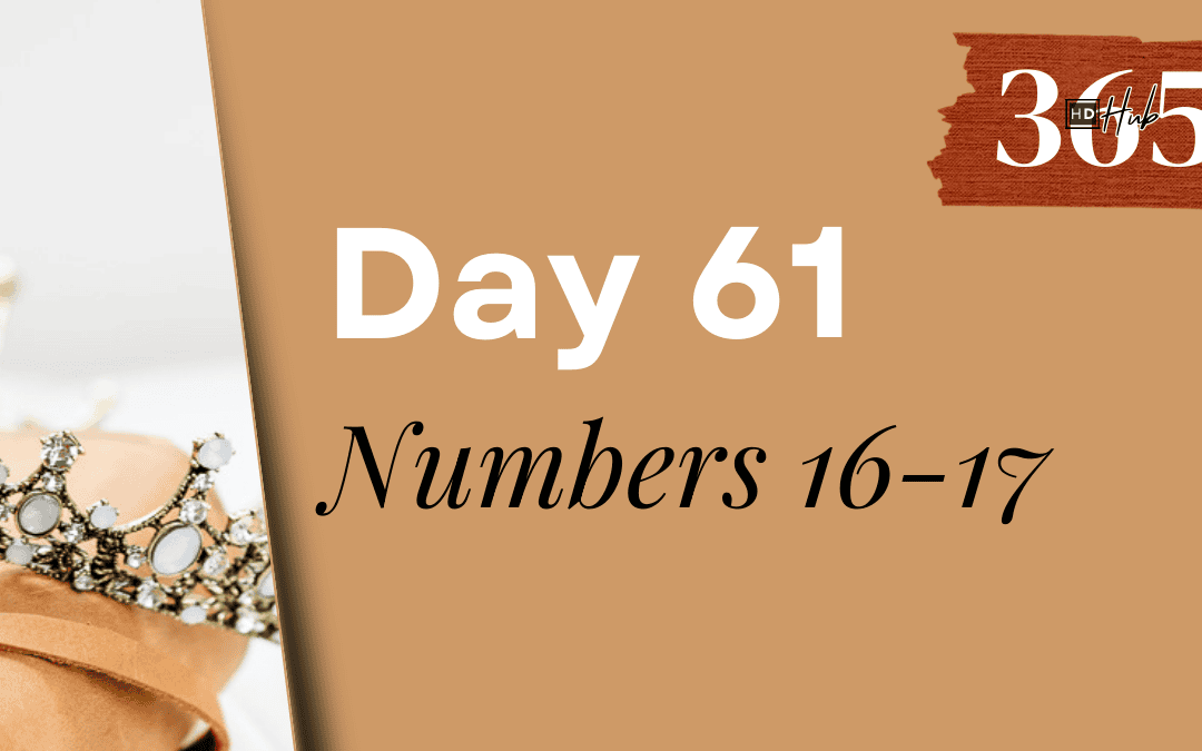 Day 061 Numbers 16-17