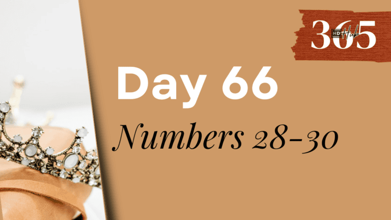 Day 066 Numbers 28-30