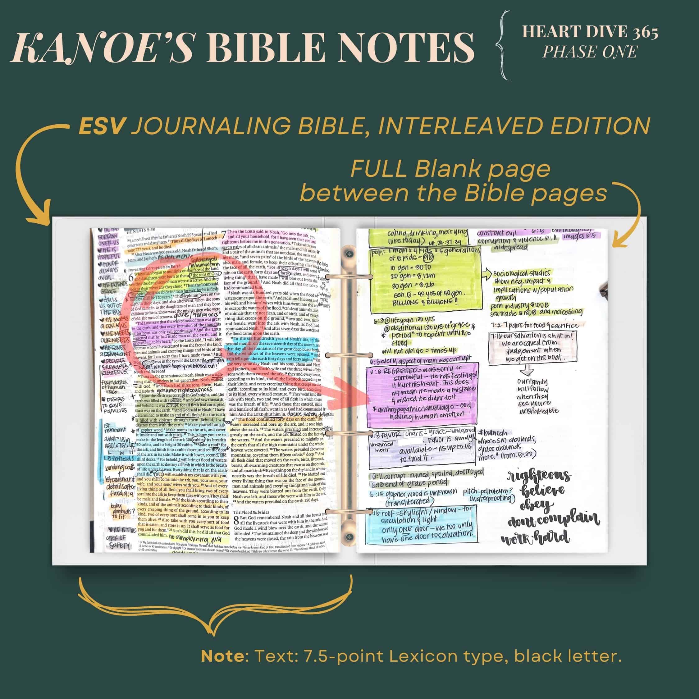2024 kane's bible notes ESV Journaling Bible, Interleaved Edition