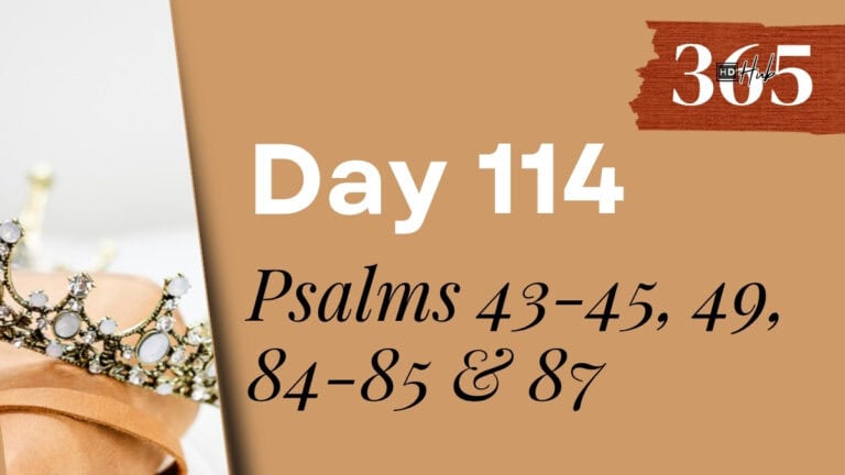 Day 114 Psalms 43-45, 49, 84-85, 87