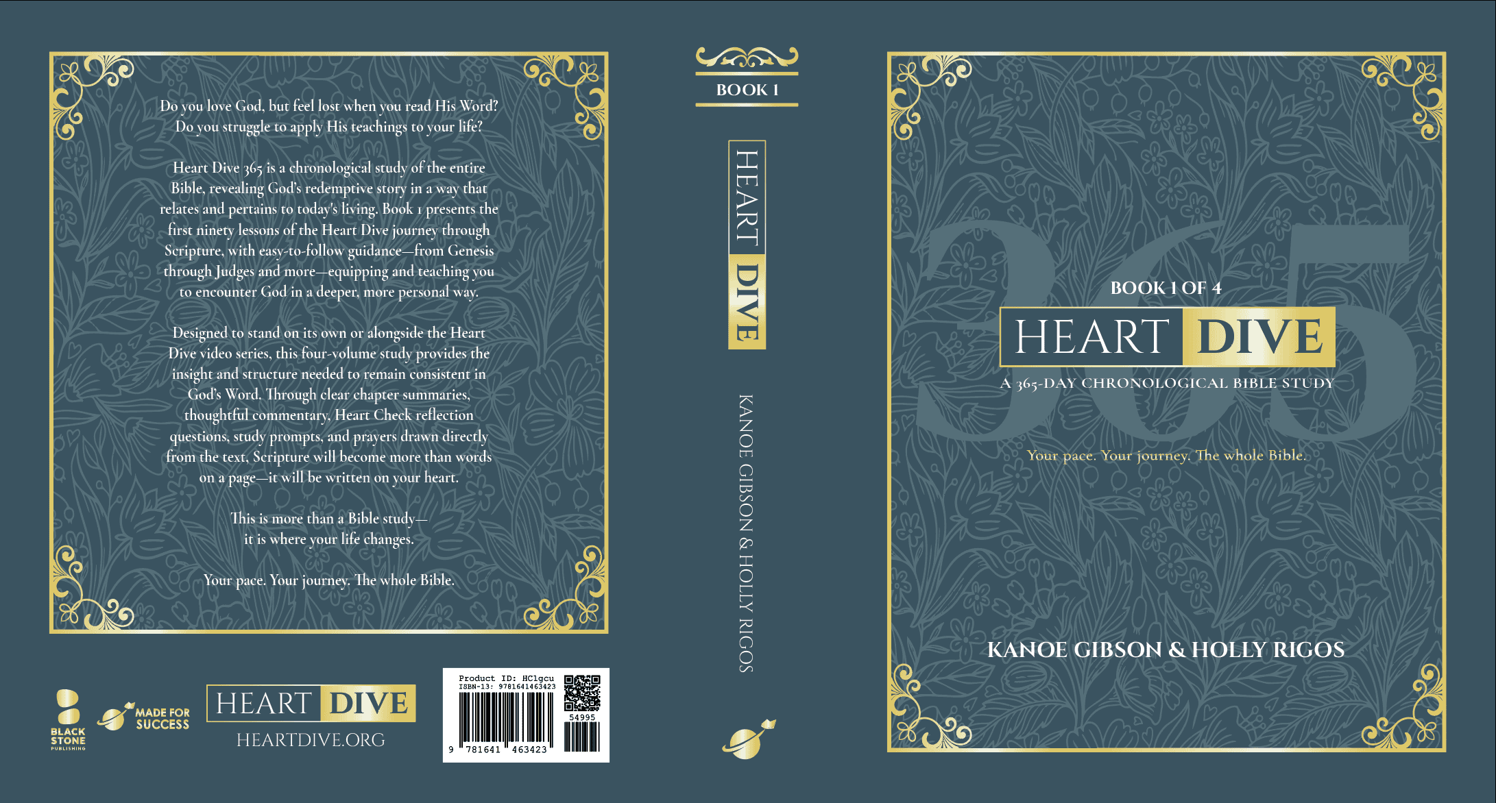 Heart Dive 365 Book Wrap Cover