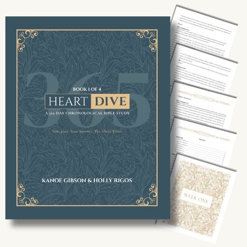 Pre-Order Now: Heart Dive: A 365-Day Chronological Bible Study Your pace. Your journey. The whole Bible.