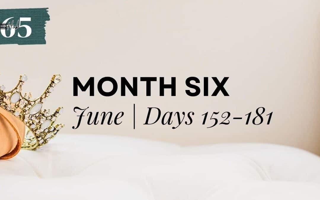 MONTH 6: JUNE 1-30 (Days 152-181)